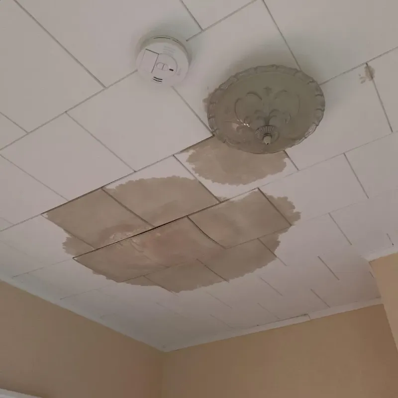 Ceiling Water Damage Repair in Windom, MN